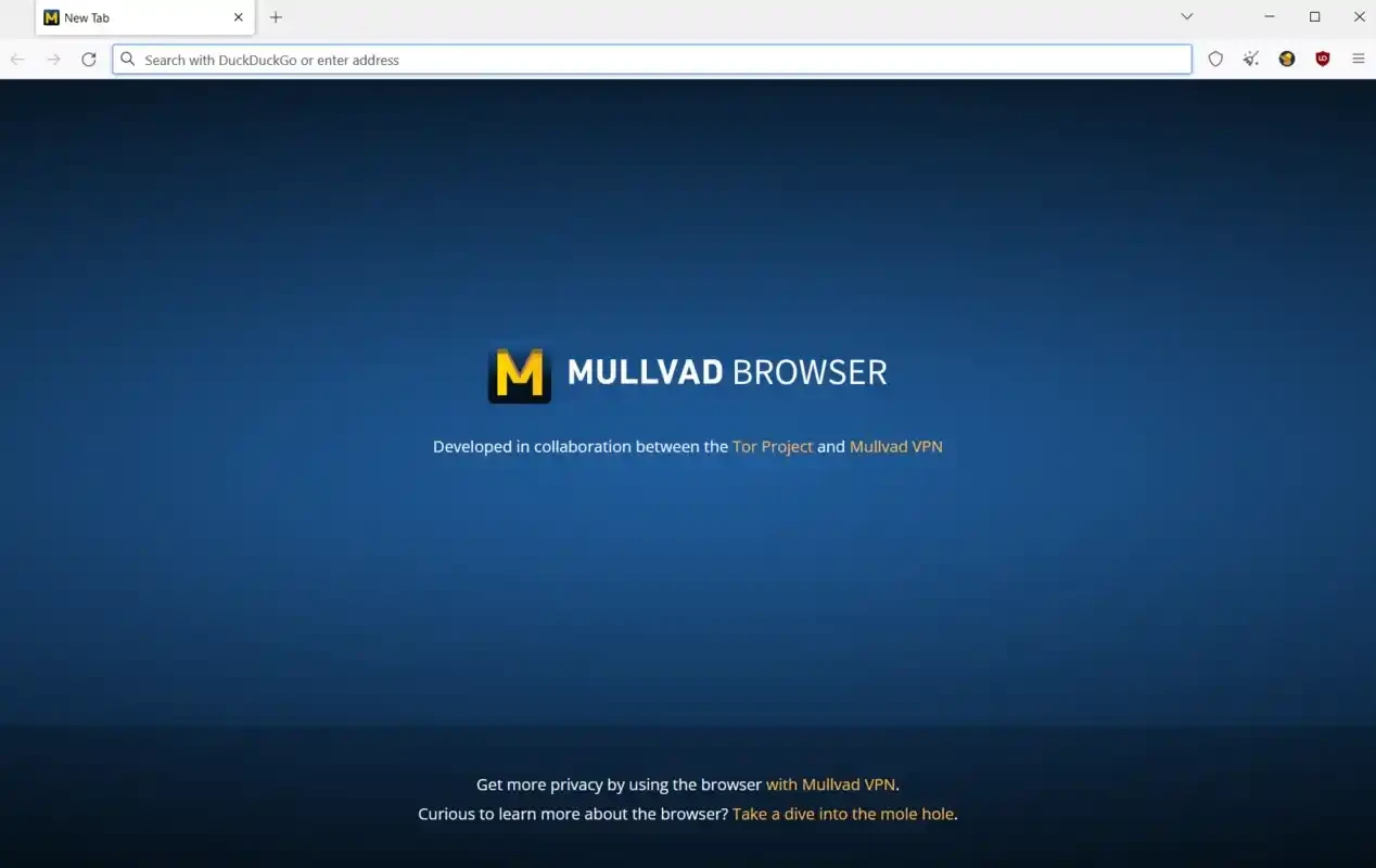 Mullvad Browser — 截圖 1